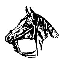 HORSE38.BMP