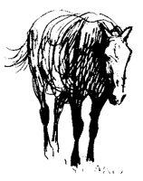 HORSE37.BMP