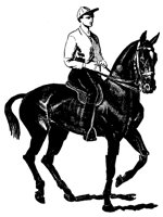 HORSE32.BMP