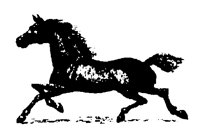 HORSE3.BMP