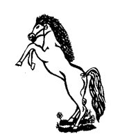 HORSE27.BMP