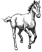 HORSE16.BMP