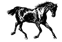 HORSE05.BMP