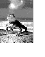 HORNTOAD.BMP