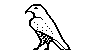 HAWK.BMP