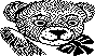 HAPYBEAR.BMP