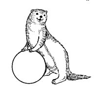 FERRET.BMP