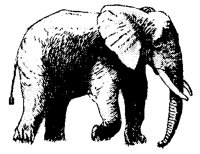EL_TUSK.BMP