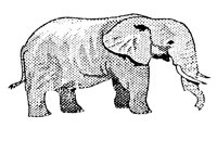 ELEPHANT.BMP