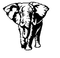 ELEP10.BMP