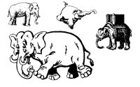 ELEFANT2.BMP