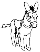DONK02.BMP