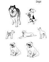 DOGS.BMP