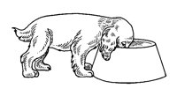 DOGFOOD.BMP