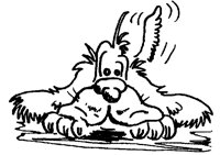 DOG53.BMP