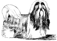 DOG42.BMP