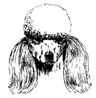 DOG35.BMP