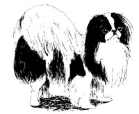 DOG24.BMP
