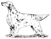 DOG16.BMP
