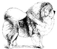 DOG10.BMP