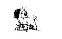 DOG1.BMP
