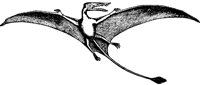 DINOS908.BMP