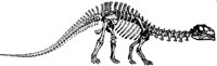 DINOS900.BMP