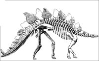 DIEREN81.BMP