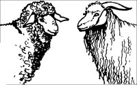 DIEREN25.BMP
