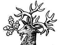 DEER_214.BMP