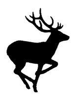 DEERSYM.BMP