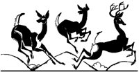 DEERDM1.BMP
