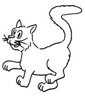 CTNCAT1.BMP