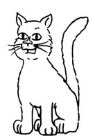 CTNCAT.BMP