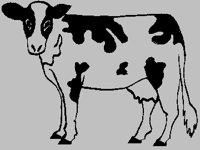 COW1C8.BMP