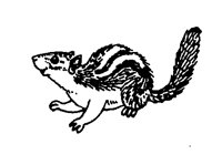 CHIPMUNK.BMP