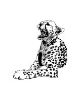 CHETAH.BMP