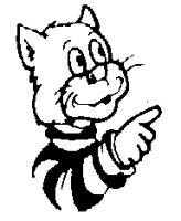 CAT_772.BMP