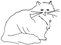 CAT_6U4.BMP