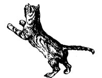 CAT_3O4.BMP