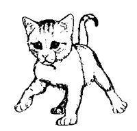 CATS0037.BMP