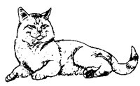 CATS0032.BMP