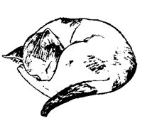 CATS0028.BMP