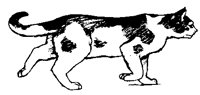 CATS0023.BMP