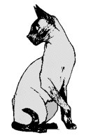 CATS0022.BMP