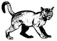CATS0019.BMP