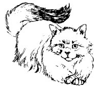 CATS0018.BMP