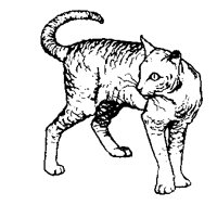 CATS0014.BMP