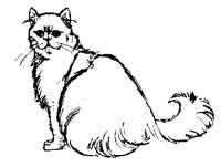 CATS0013.BMP
