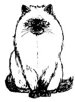 CATS0010.BMP